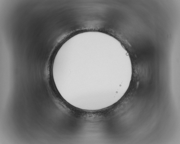 X0000112830632200908281532