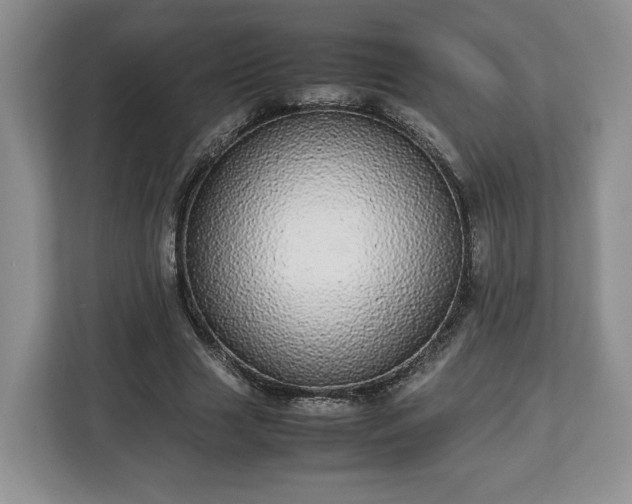 X0000112830633200908281532