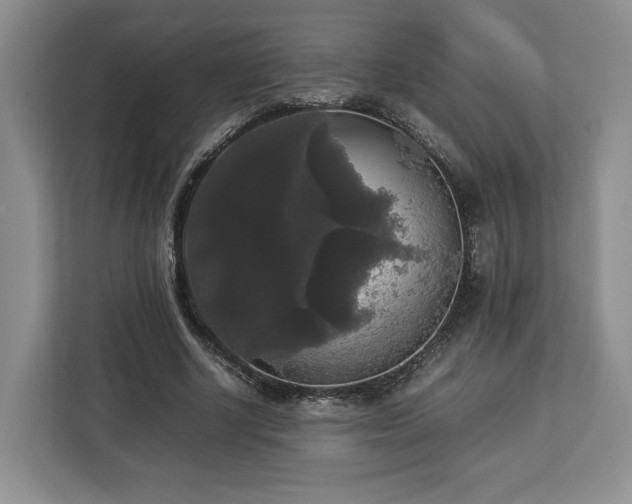 X0000112830634200908281532