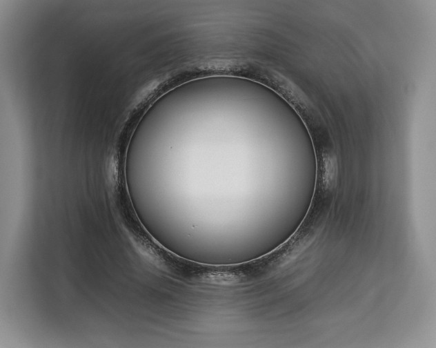 X0000112830636200908281532