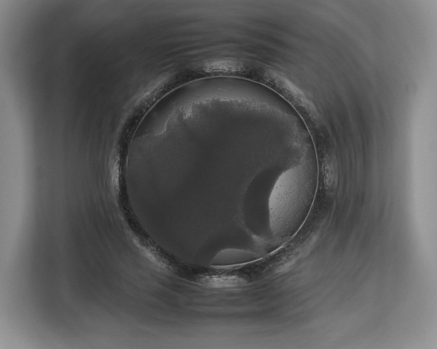 X0000112830637200908281532