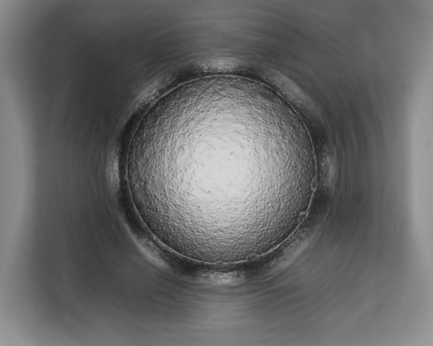 X0000112830638200908281532