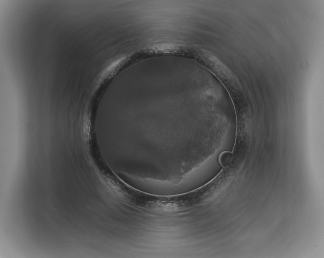 X0000112830640200908281532