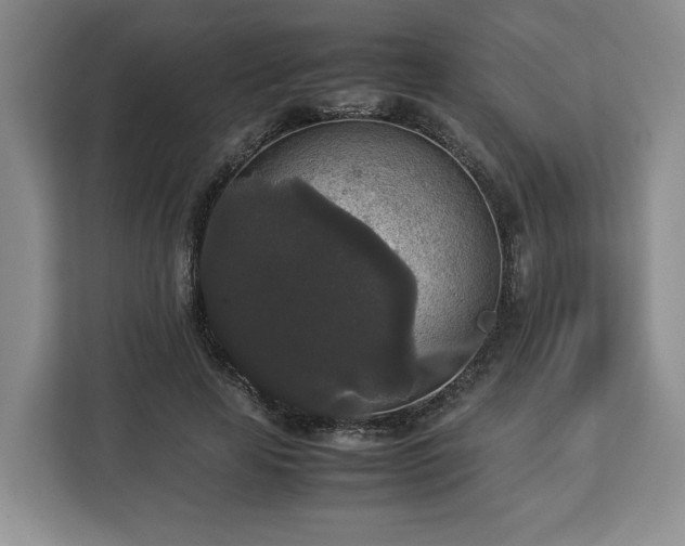 X0000112830641200908281532