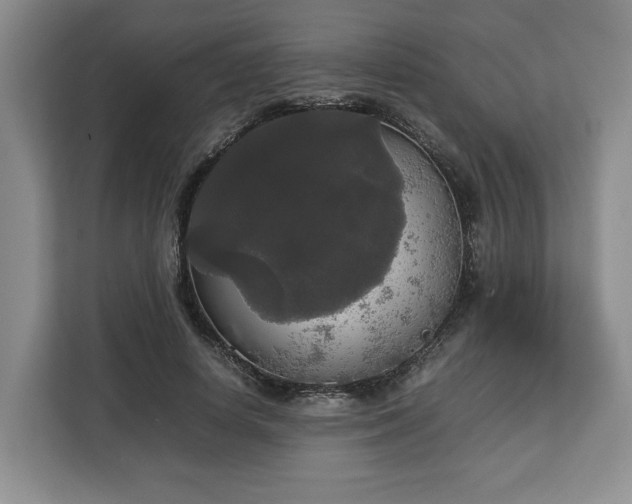 X0000112830642200908281532