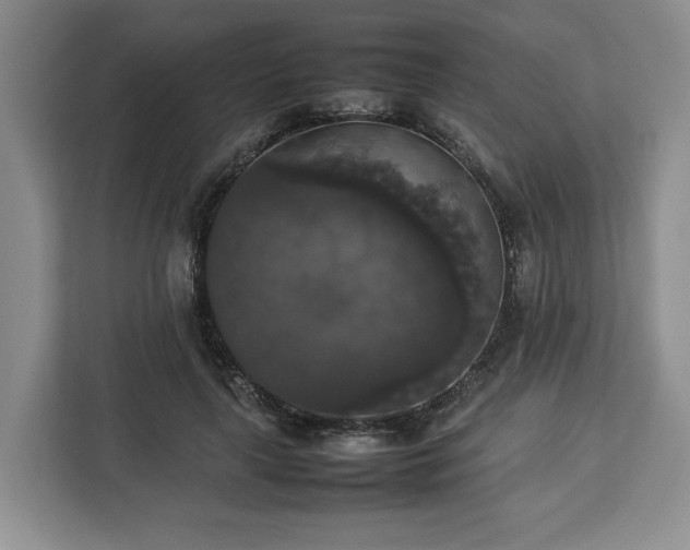 X0000112830643200908281532