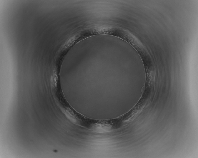 X0000112830644200908281532