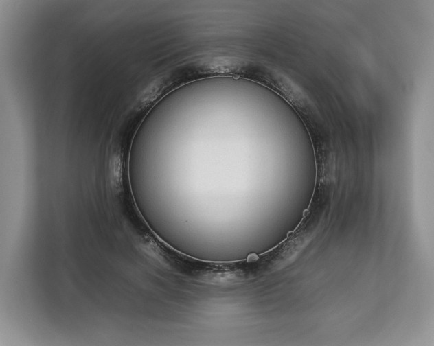 X0000112830646200908281532