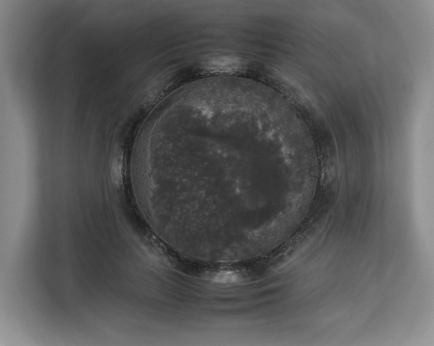 X0000112830647200908281532