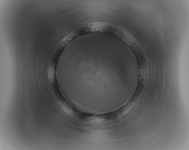 X0000112830648200908281532