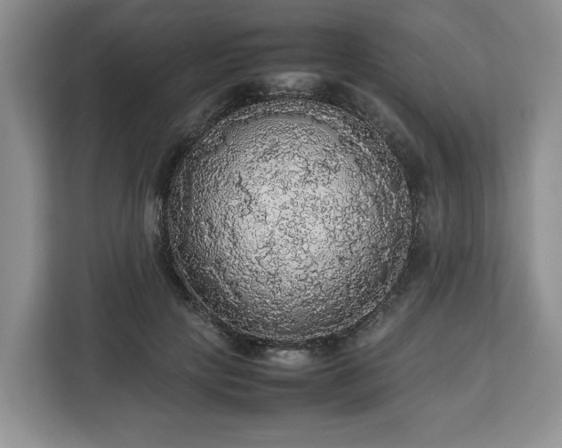 X0000112830649200908281532