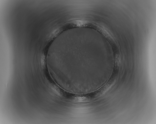 X0000112830650200908281532