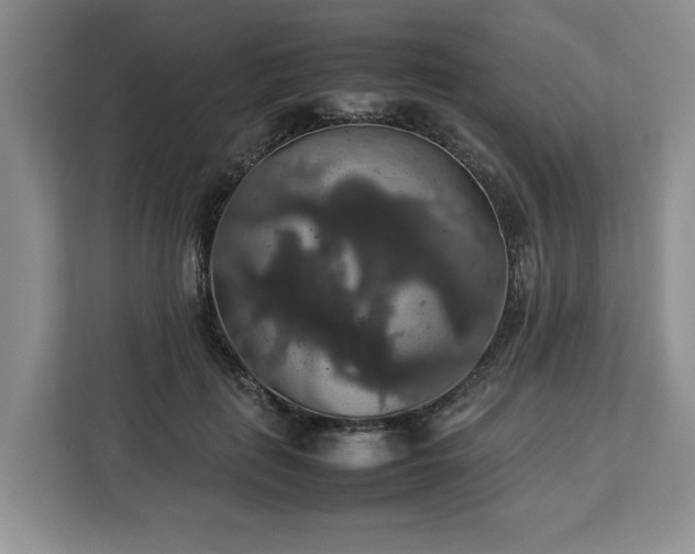 X0000112830651200908281532