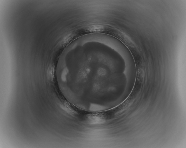 X0000112830652200908281532