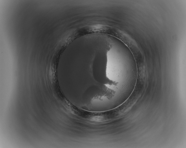 X0000112830653200908281532