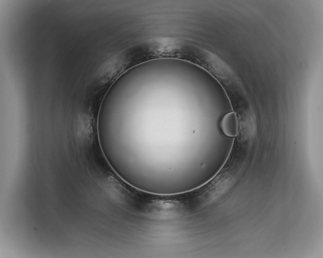 X0000112830654200908281532