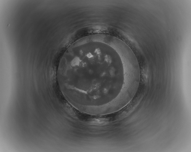 X0000112830657200908281532