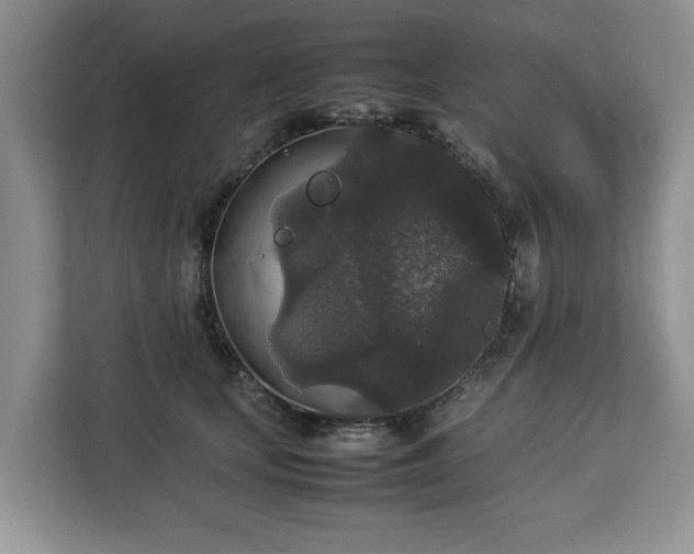 X0000112830659200908281533