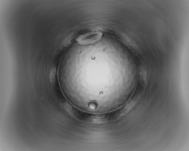 X0000112830660200908281533