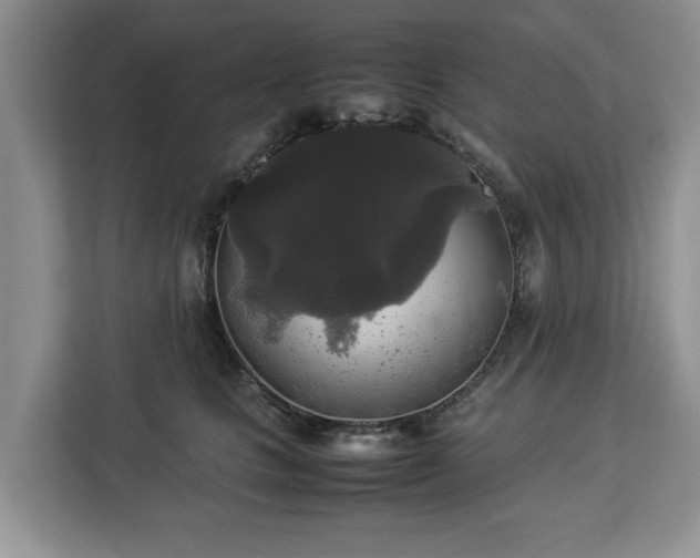 X0000112830661200908281533