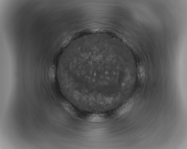 X0000112830664200908281533