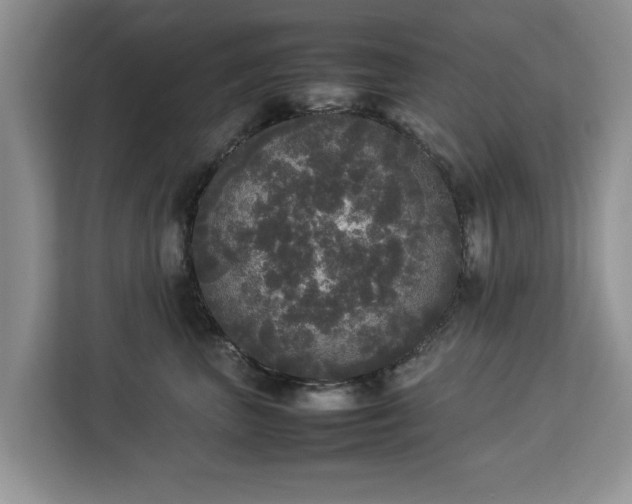 X0000112830667200908281533