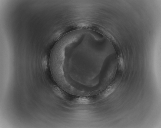 X0000112830668200908281533