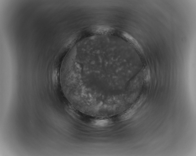 X0000112830669200908281533