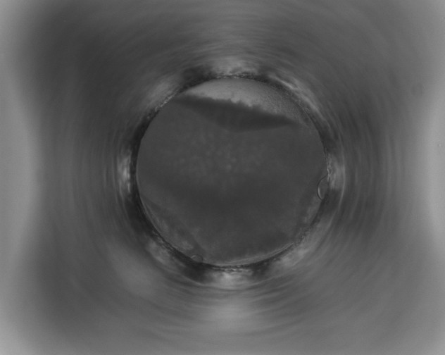 X0000112830670200908281533