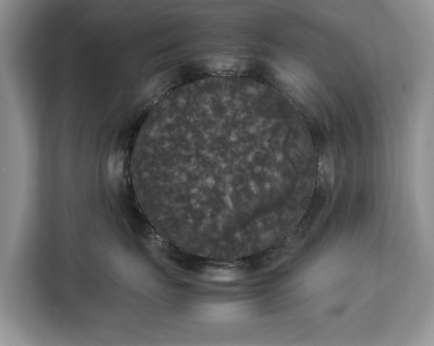 X0000112830671200908281533