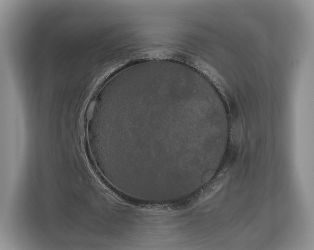 X0000112830673200908281532