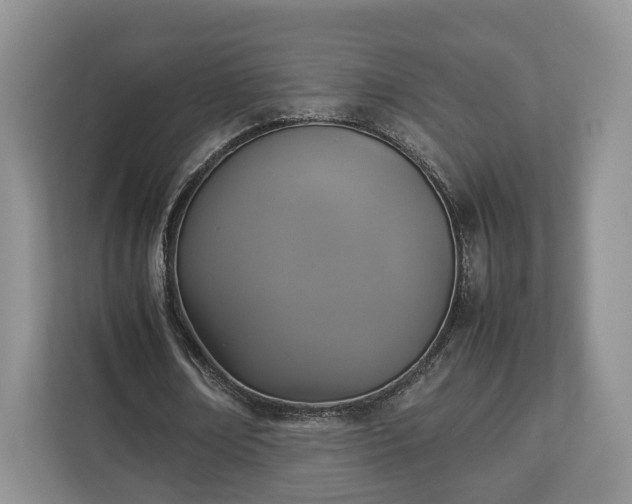 X0000112830674200908281532