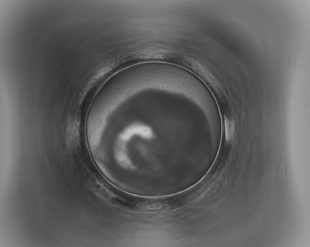 X0000112830675200908281532