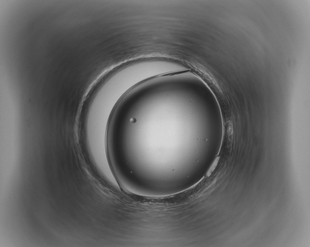 X0000112830676200908281532