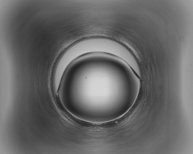 X0000112830677200908281532