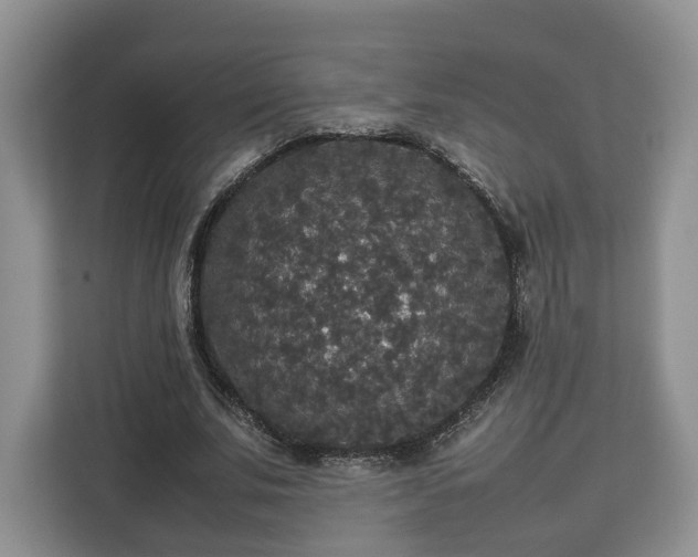 X0000112830679200908281532