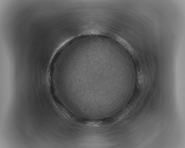 X0000112830680200908281532