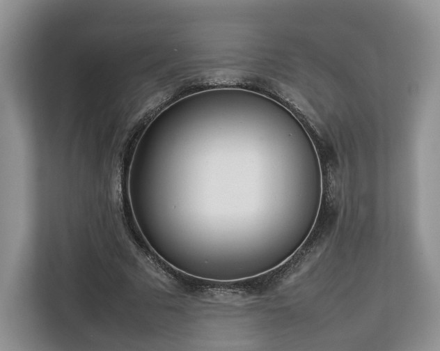 X0000112830681200908281532