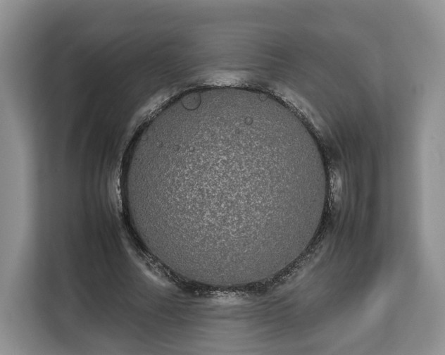 X0000112830682200908281532