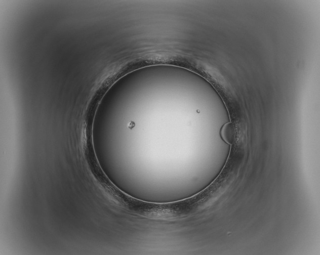 X0000112830685200908281532