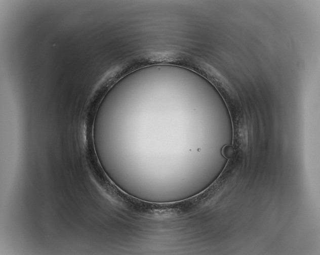 X0000112830686200908281532