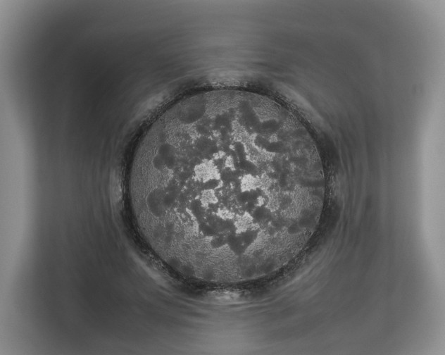 X0000112830687200908281532