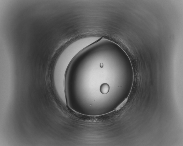 X0000112830688200908281532