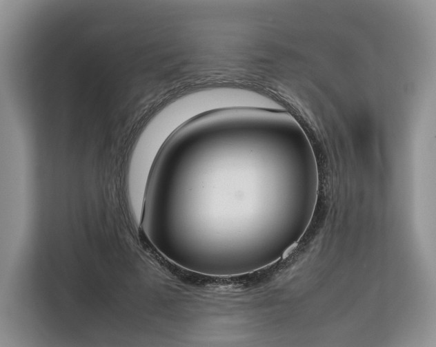 X0000112830689200908281532