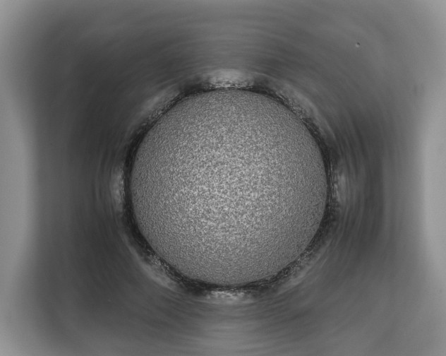 X0000112830690200908281532