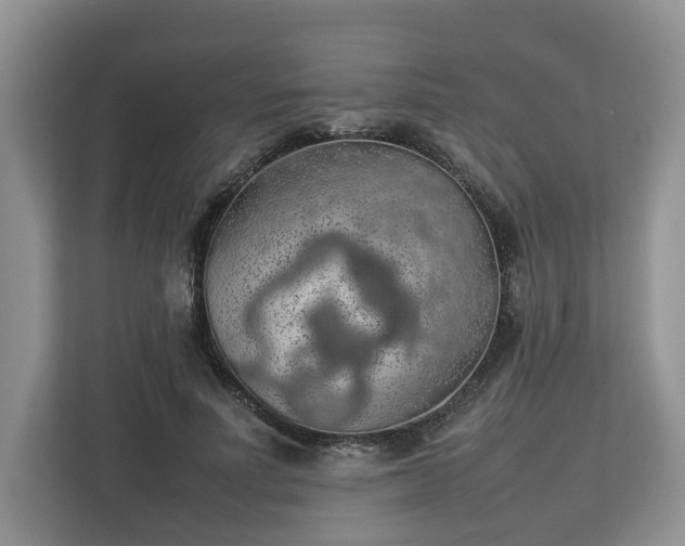 X0000112830691200908281532