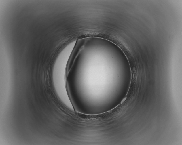 X0000112830692200908281532