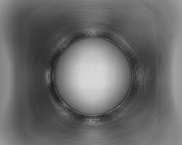 X0000112830694200908281532