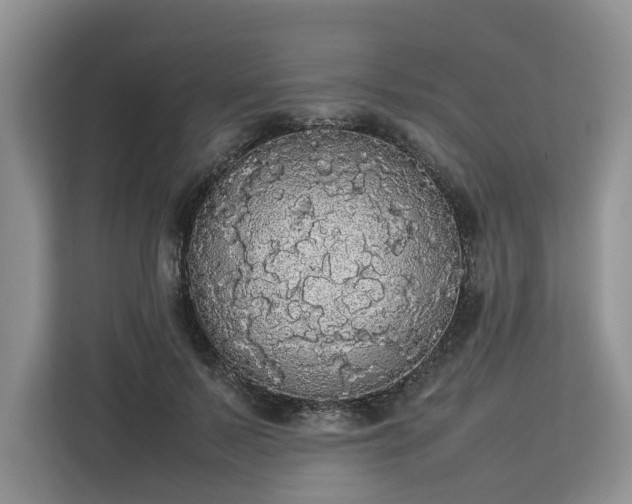 X0000112830695200908281532