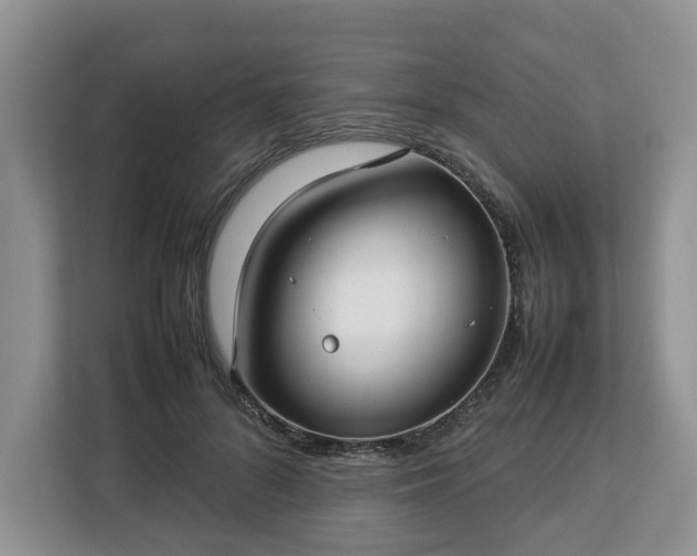 X0000112830696200908281532